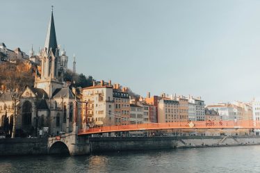 Stratégies efficaces pour la destruction nid de frelon asiatique Lyon