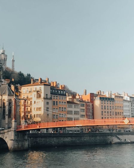 Stratégies efficaces pour la destruction nid de frelon asiatique Lyon