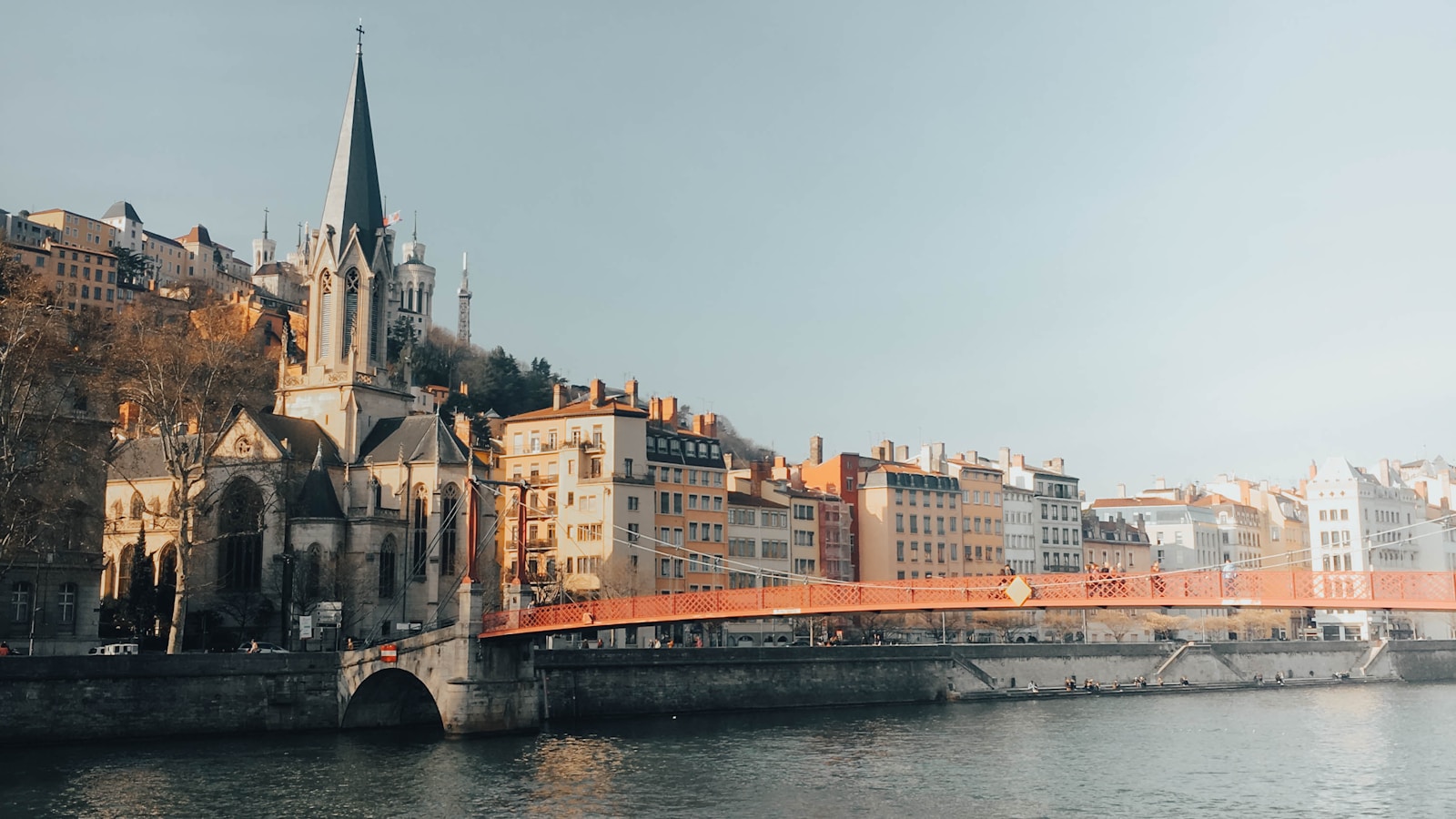 Stratégies efficaces pour la destruction nid de frelon asiatique Lyon