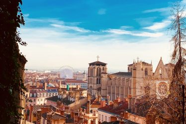 destruction nid de guepes Lyon : guide complet pour les habitants de Lyon