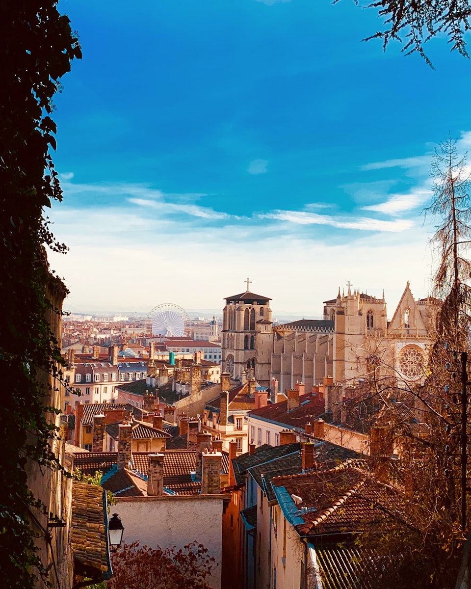 destruction nid de guepes Lyon : guide complet pour les habitants de Lyon