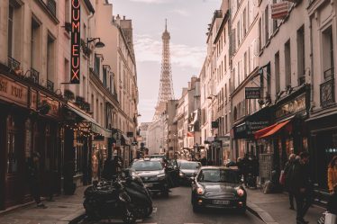 toutes les étapes pour la destruction nid de guepes Paris