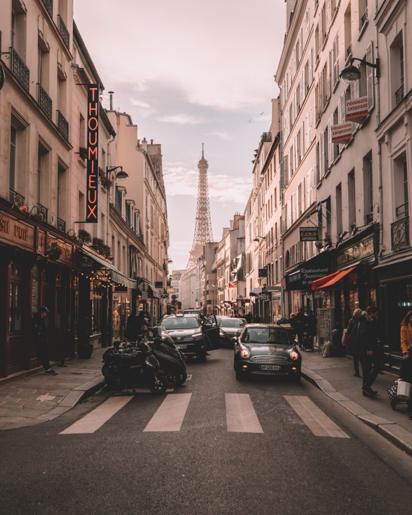 toutes les étapes pour la destruction nid de guepes Paris