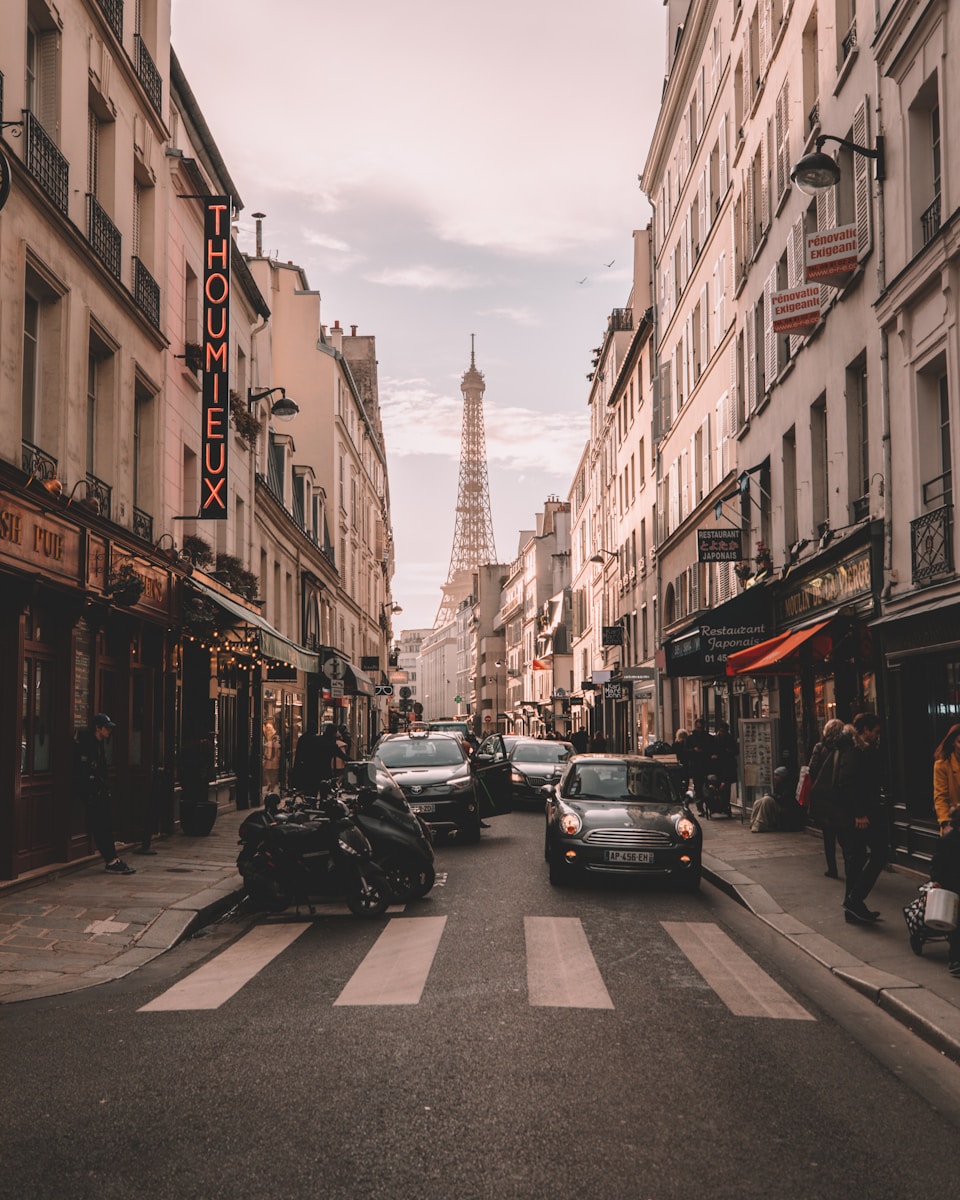 toutes les étapes pour la destruction nid de guepes Paris