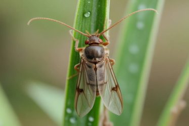 Comment identifier et éloigner les insectes attirés par l’humidité dans la salle de bain